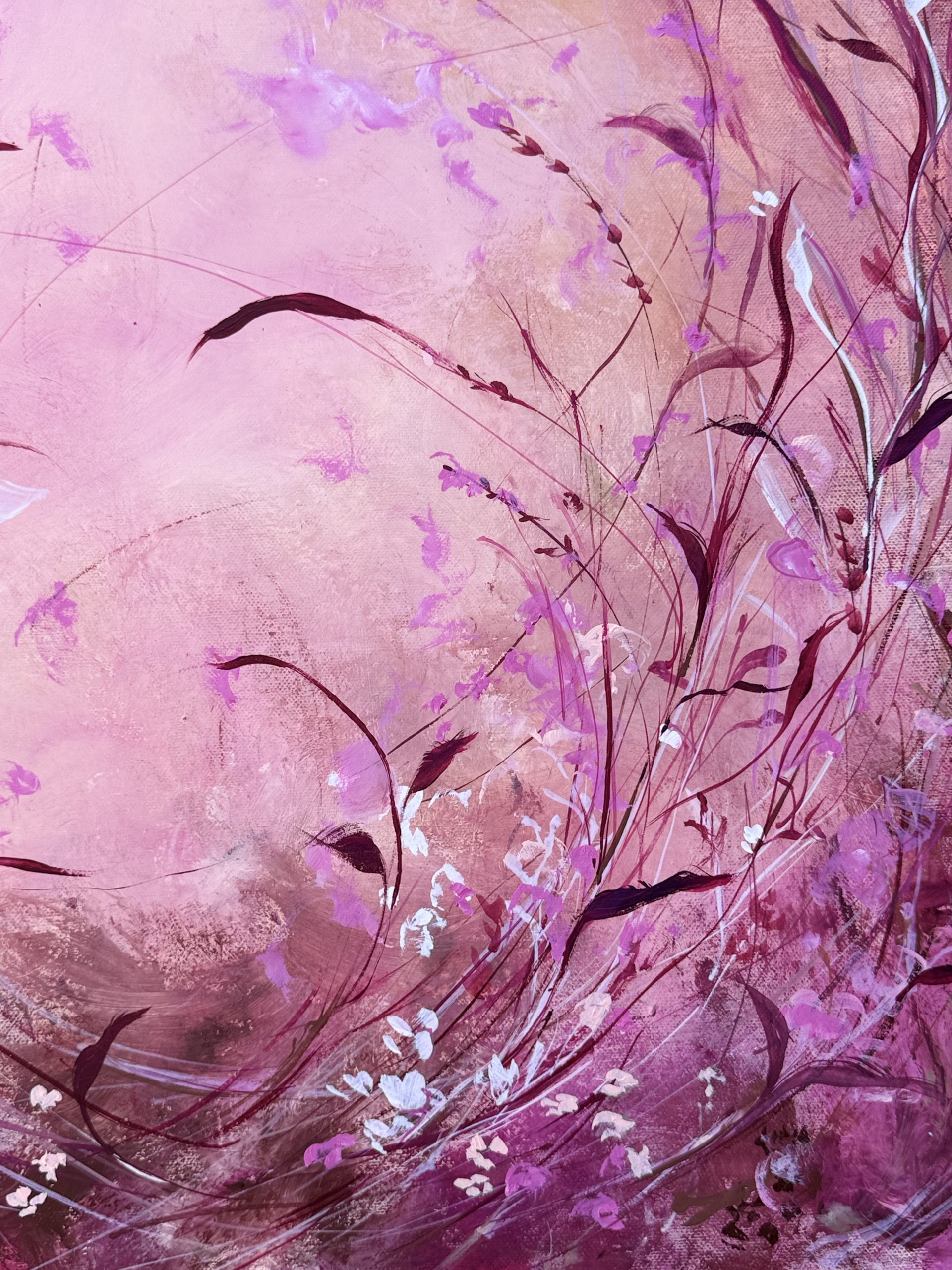 Rovi di luce - immagine 3