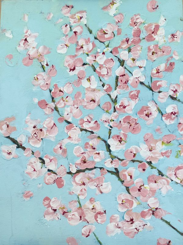 Mandorli in fiore 1